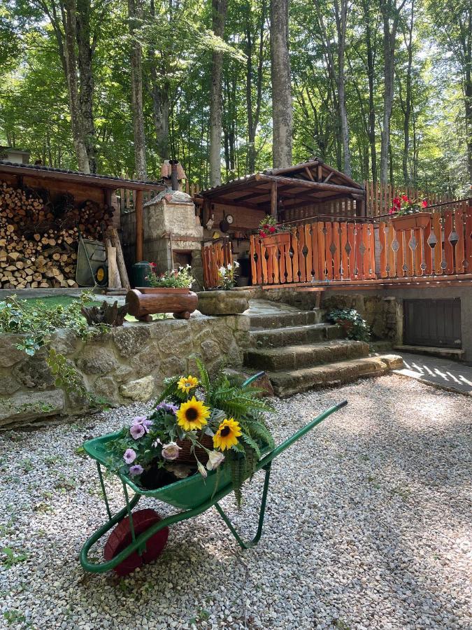 Ferienwohnung Chalet I Folletti Abbadia San Salvator Exterior foto